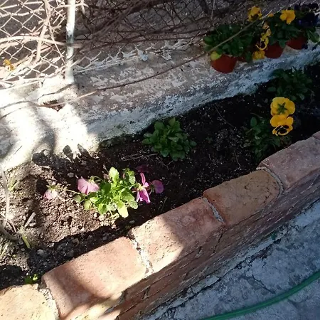 Casa Theotoki Anemomylos