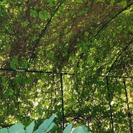 Casa Theotoki * Anemómilosz