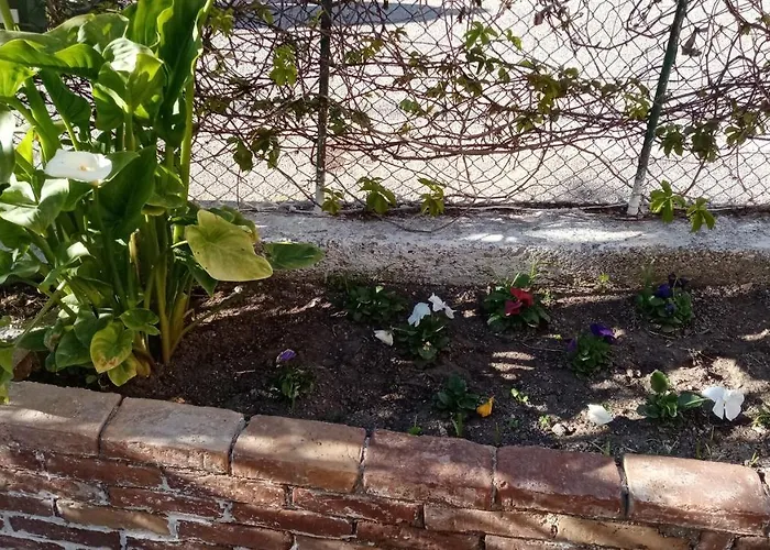 Daire Casa Theotoki Anemomylos