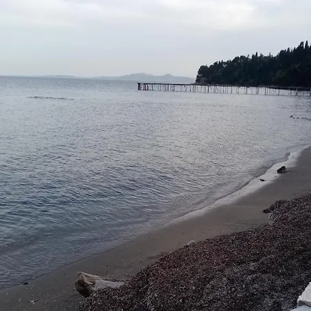 Casa Theotoki 아파트